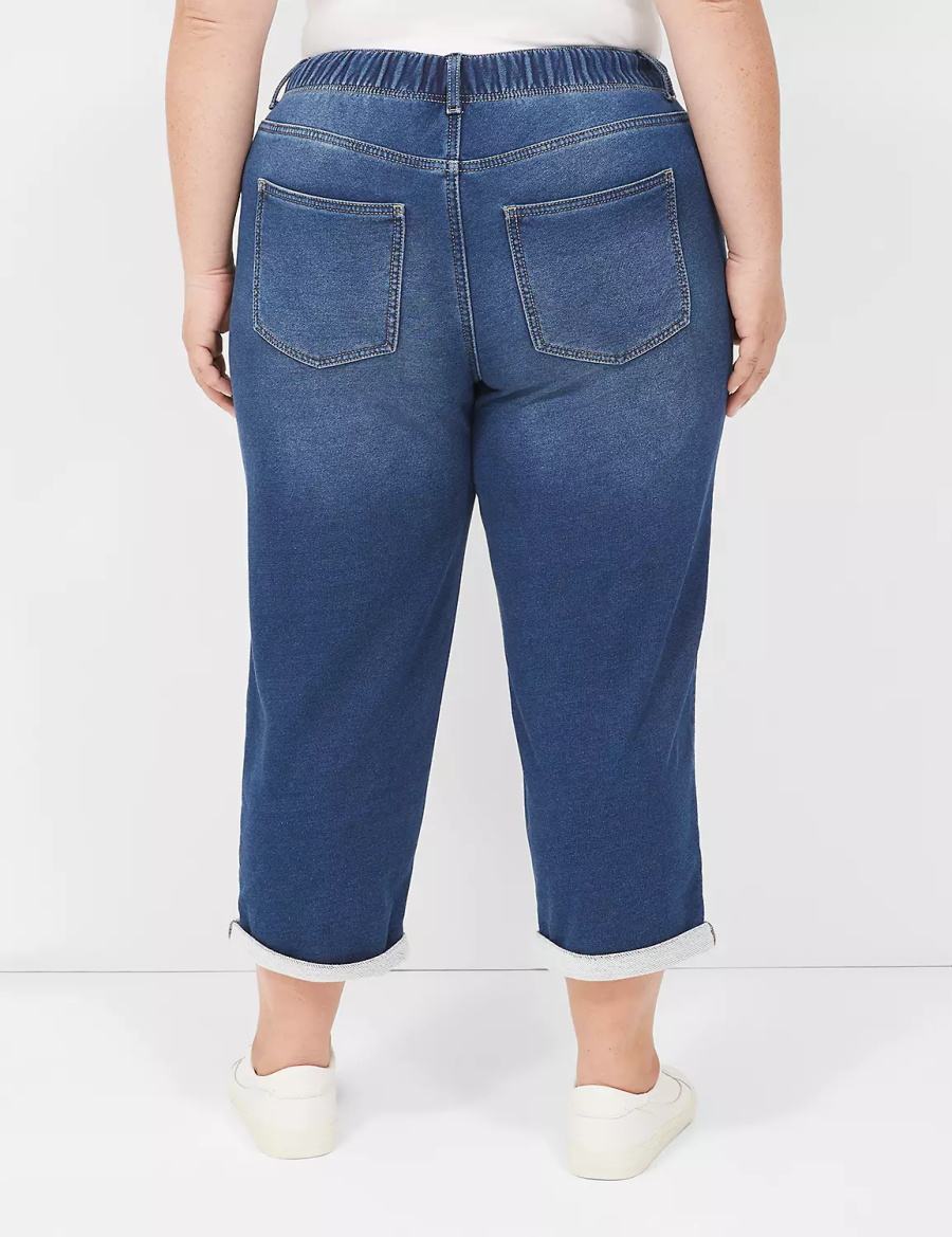 Lane Bryant Pull-On Fit Knit Boyfriend Capri Jeans Donna Blu Scuro | ROI8985DA